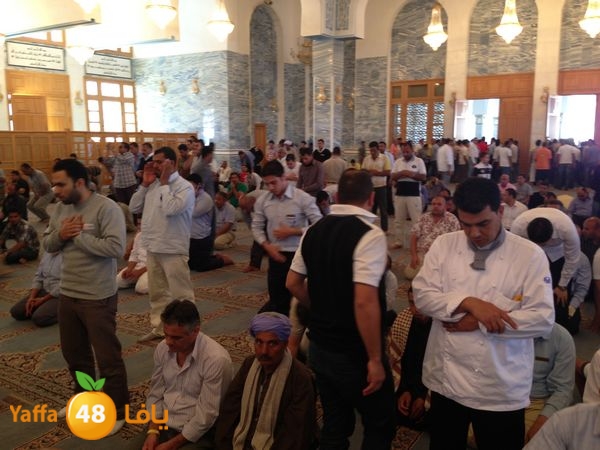 sharmelskhe7 (41).JPG